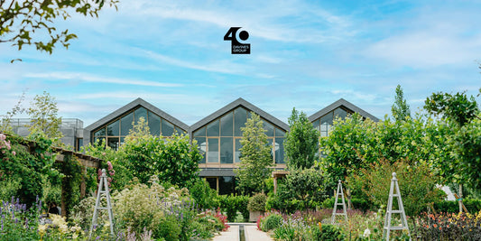 Forty years of sustainable beauty