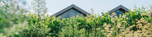 Sustainability takeaways 2019/20