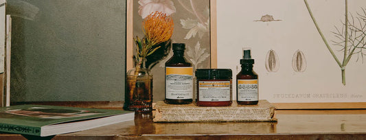 Fall favorites